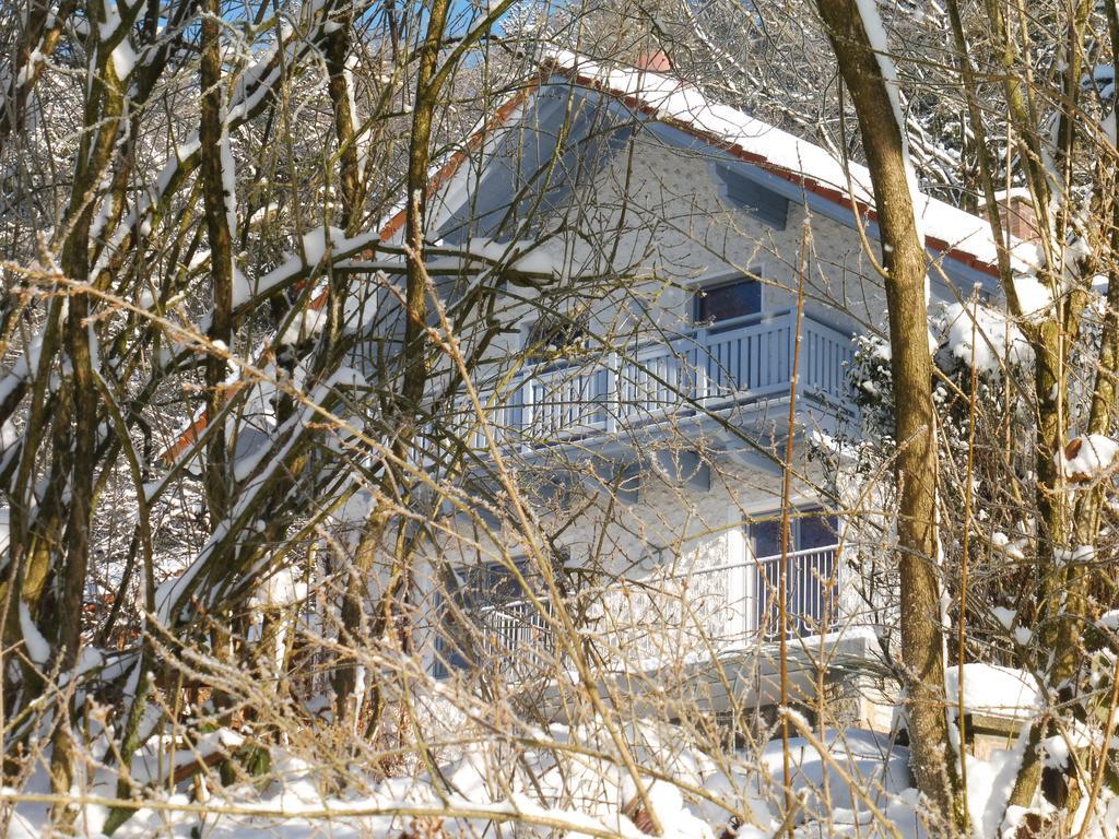 Ferienwohnung Regentalblick Miltach Екстериор снимка