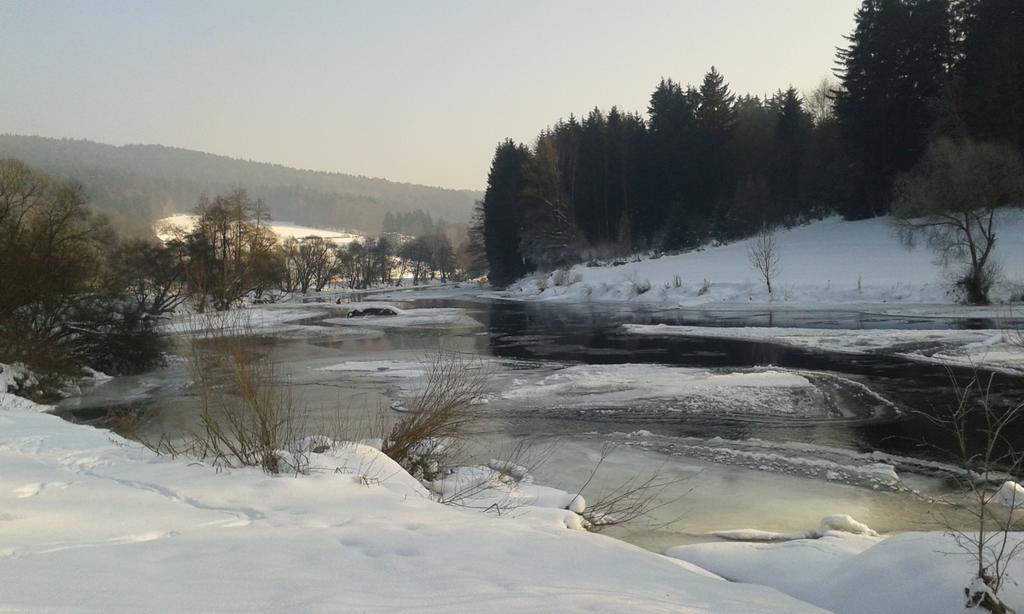 Ferienwohnung Regentalblick Miltach Екстериор снимка