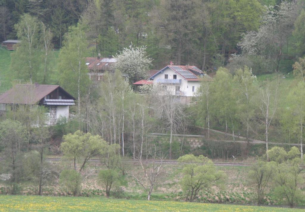 Ferienwohnung Regentalblick Miltach Екстериор снимка